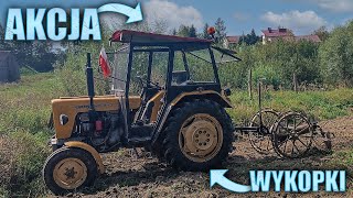 wykopki w polskim klimacie 🥔 kopanie zbieranie oraz odwóz ✔ Agro Vlog 28 RzP [upl. by Atiner]