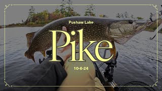 Fall Pike and Pickerel Kayak Fishing [upl. by Trembly]