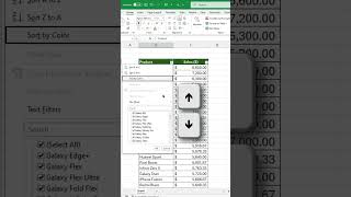 BOOST Your Productivity with EXCEL FILTERING Secrets [upl. by Notxap]