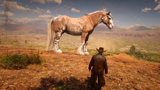 John Marston Found Travelers Big Horses in Fort Mercer Armadillo [upl. by Mosra]