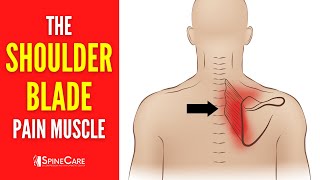 The Shoulder Blade Pain Muscle How to Release It for INSTANT RELIEF [upl. by Quintina]