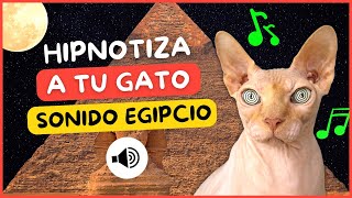 📢😻SONIDO EGIPCIO PARA GATOS TIK TOK🐫🐫  SONIDO ANTIGUO EGIPTO🐈 [upl. by Nica]