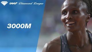 Helen Obiri wins the Womens 3000m in Doha  IAAF Diamond League 2019 [upl. by Yvan]