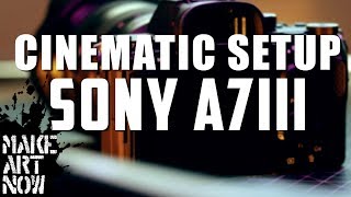 SONY A7III SETUP ALL CINEMATIC FUNCTIONS [upl. by Ocirederf]