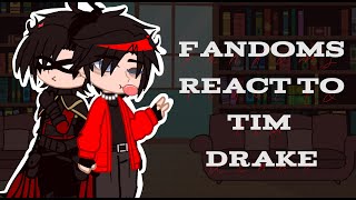 Fandoms React  17 Tim Drake  TimBer  reign [upl. by Nosidda705]