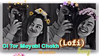 🔴OiTorMayabiChokh‼️ BeshKorechiPremKorechi 🦋Bangla MovieSongRomanticLove Lofi viralyt [upl. by Harod]