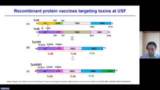 Recombinant fusion protein vaccine containing Clostridioides difficileFliC [upl. by Enialehs]