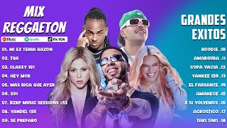 Mix Reggaeton 2023  Karol G Shakira Feid Ozuna Anuel AA  Lo Mas Nuevo 2023  Lo Mas Sonado [upl. by Aneeras]