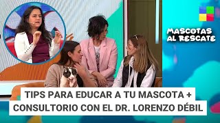 Educar a tu mascota  Dr Lorenzo Débil MascotasAlRescate  Programa completo 15092024 [upl. by Odeen]