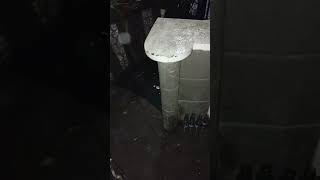 Adante St Malabon Philippines OCt 24  2024 shorts shortvideo youtube youtubeshorts 2 [upl. by Naujtna]