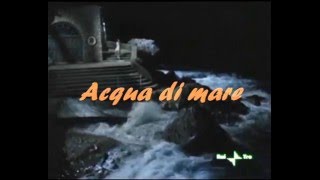 Acqua di mare  Romina Power [upl. by Atiuqam287]