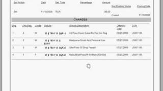 How to read a docket sheet [upl. by Dionysus844]