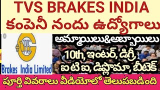 Brakes India Pvt Ltd company Nandu Udyogaavakaasalu  Male And female jobs  10th to Any Qualificati [upl. by Eloccin]