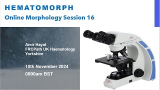 Hematomorph Session for MorphologyFree Online weekly events [upl. by Eardnaed920]