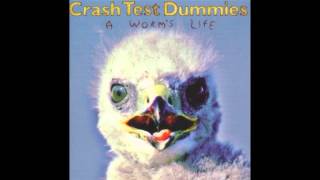 Crash Test Dummies  Overachievers [upl. by Konyn448]