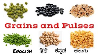 Grains and Pulses names in English Hindi Kannada Telugu  Grains name  Pulses name  Millets [upl. by Gallenz607]