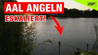 Monster im kleinen Teich🥵🎣 Aal angeln eskaliert [upl. by Adianez701]