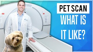 PET Scan What Is It Like 2020 [upl. by Vickey642]