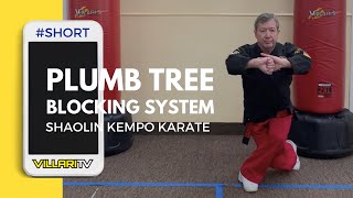 The Plum Tree Blocking System short [upl. by Rybma432]