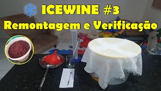 Vinho ao estilo ICEWINE Eiswein  Remontagem e Verificação 3 [upl. by Alleunam]