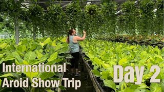 International Aroid Show Trip Day 2 visiting Silver Krome Gardens [upl. by Rehpotsrhc]