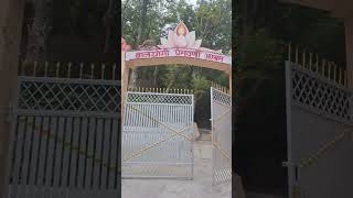 Monkey Yoga Dvine Yoga Rishikesh [upl. by Etnaud709]