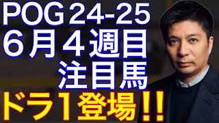 【POG2425】６月４週目デビューの注目新馬を紹介【ドラフト１位！藤田オーナーの大物候補が出世レースに登場！】 [upl. by Akired189]