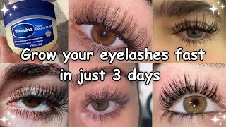 HOW I GROW MY EYELASHES IN JUST 3 days naturally [upl. by Rainer]