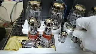 Mullard Ecc83 VS Gold Lion 12ax7 tubesWatch and see the difference [upl. by Ennaxxor445]