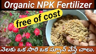 రూపాయి ఖర్చు లేదు6 నెలలు స్టోర్ చేసుకోవచ్చుHome made Organic NPK Fertilizer gardening gardentips [upl. by Coveney884]