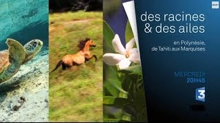 Élaboration du Monoï traditionnel à Fatu Hiva aux Marquises [upl. by Trula326]