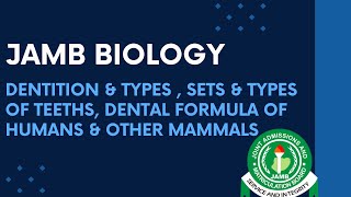 JAMB Biology 2025 EP 67  Dentition amp Types Sets amp Types of Teeth amp Dental Formula Humans Dogs [upl. by Semreh]