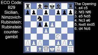 Chess Book Openings ECO Volume B [upl. by Aicilf]