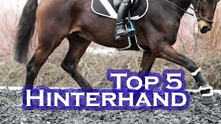 Top 5 DressurÜBUNGEN STÄRKUNG Hinterhand [upl. by Darda910]