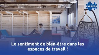 Le sentiment de bienêtre dans les espaces de travail [upl. by Einamrej142]