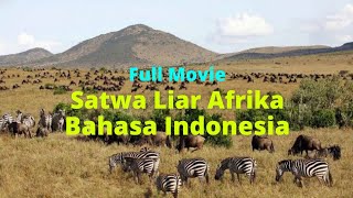 Koleksi Film Dokumenter  Kehidupan Satwa Liar Sub Indonesia Bagus Buat Nonton Bareng Keluarga [upl. by Auqinet]