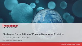 Strategies for isolation of plasma membrane proteins [upl. by Ahsikal685]