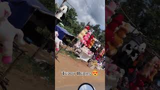 Lovely Teddys 😍  Teddy bears 🐻 in Vijayawada Vijayawada [upl. by Noirda210]