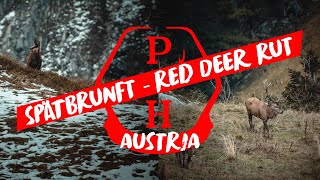 Rotwild Gamswild und Bergwelten in der Spätbrunft  Ein Streifzug durch die österreichischen Alpen [upl. by Nazarius]