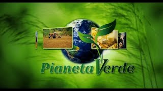 Pianeta Verde agricoltura sostenibile l’utilizzo dei microrganismi effettivi 16042022 [upl. by Yelsehc]