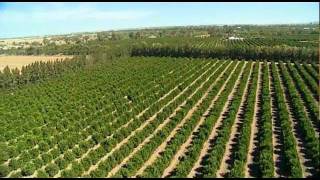 Riverina Agriculture Australia by Vince Bucello [upl. by Budding]