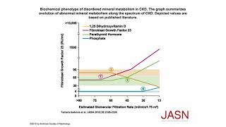 Phosphorus Part 4 Phosphate Homeostasis 3 [upl. by Ahtennek]