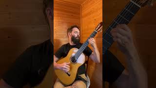 Adelita by Francisco Tarrega from the movie Garden State classicalguitarist flamencoguitar [upl. by Cloutman]