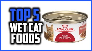 ✅Top 5 Best wet cat foods in 2024 [upl. by Perlie]