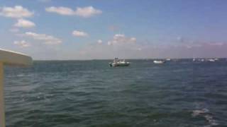 Barnegat Bay Fishing [upl. by Millhon877]