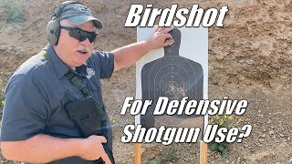 Tactical Shotgunner Pro Tip  Birdshot for Defensive Shotgun use [upl. by Reid545]