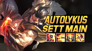 Autolykus quotRANK 1 SETTquot Montage  Best Sett Plays [upl. by Salena]