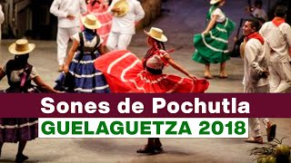 Sones de Pochutla  Guelaguetza 2018 [upl. by Laroy122]