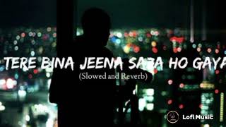 Tere Bina Jeena Saza Ho Gaya   Slowed Reverb  Lofi Music [upl. by Aniad]