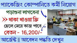 Packaging job requirement 2024  all product packaging company job  new job vacancy 2024 [upl. by Ibib766]